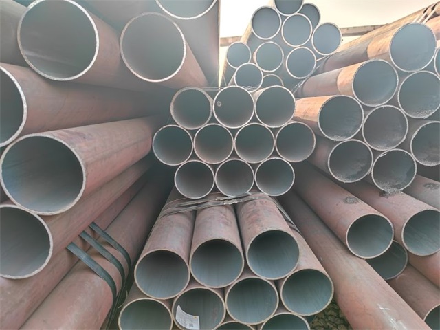 IMG_20230401_153809.jpg IMG_20230401_153809.jpg